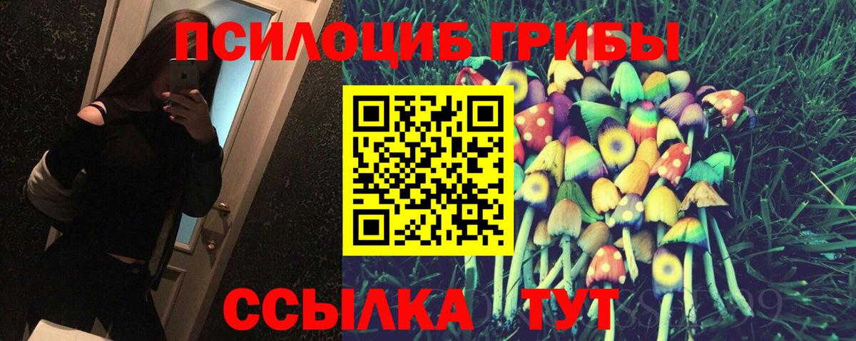 Галлюциногенные грибы Magic Shrooms Гурьевск