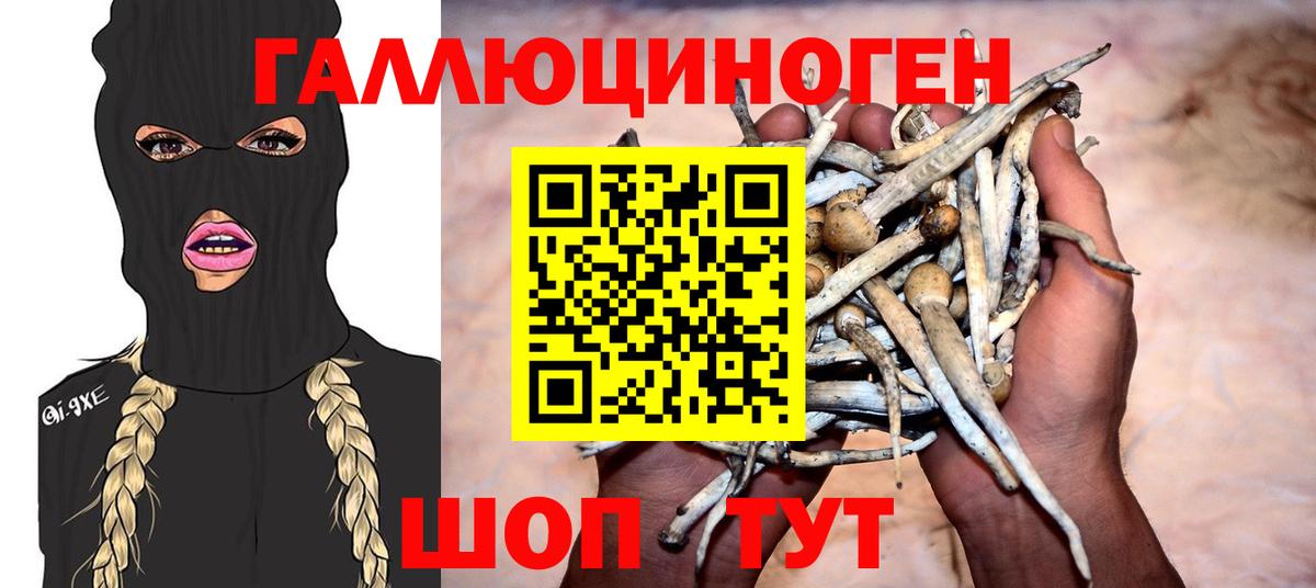 Галлюциногенные грибы Cubensis  Вход с VPN  Гурьевск 